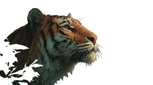 Fierce Tiger V26 Vinyl Car Decal Sticker – Waterproof & UV-Resistant 