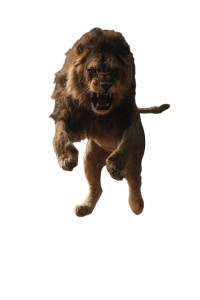 Angry Lion Jumping Vinyl Car Decal Sticker – Waterproof & UV-Resistant 