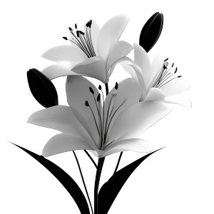 Easter Lilies Line Art Vinyl Car Decal Sticker – Waterproof & UV-Resistant 
