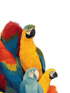 Seamless Parrots Vinyl Car Decal Sticker – Waterproof & UV-Resistant 