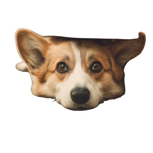 Smushed Corgi Vinyl Car Decal Sticker – Waterproof & UV-Resistant 