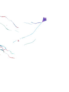 Festive Portrait Photography Vinyl Car Decal Sticker – Waterproof & UV-Resistant 