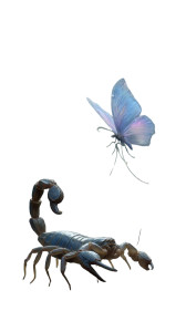 Fantasy Creatures Close-Up Vinyl Car Decal Sticker – Waterproof & UV-Resistant 