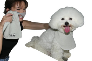 Fluffy Bichon Care Vinyl Car Decal Sticker – Waterproof & UV-Resistant Fluffy Bichon Care Vinyl Car Decal Sticker – Waterproof & UV-Resistant