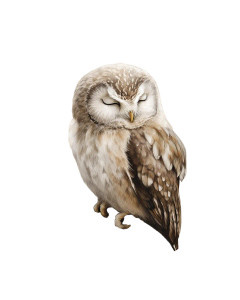 Baby Owl Art Vinyl Car Decal Sticker – Waterproof & UV-Resistant Baby Owl Art Vinyl Car Decal Sticker – Waterproof & UV-Resistant