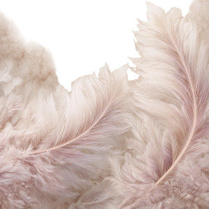 Soft Bird Feathers Vinyl Car Decal Sticker – Waterproof & UV-Resistant 