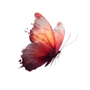 Pink Watercolor Butterfly Vinyl Car Decal Sticker – Waterproof & UV-Resistant Pink Watercolor Butterfly Vinyl Car Decal Sticker – Waterproof & UV-Resistant