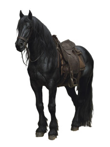 Majestic Black Warhorse Vinyl Car Decal Sticker – Waterproof & UV-Resistant Majestic Black Warhorse Vinyl Car Decal Sticker – Waterproof & UV-Resistant