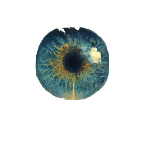 Surreal Blinking Eye Vinyl Car Decal Sticker – Waterproof & UV-Resistant 