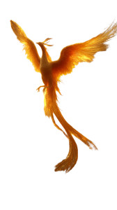 Golden Phoenix Sunset Vinyl Car Decal Sticker – Waterproof & UV-Resistant 