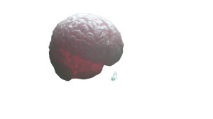 Biomechanical Brain Sphere Vinyl Car Decal Sticker – Waterproof & UV-Resistant 