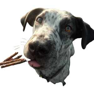 Dog Licking Sticks Vinyl Car Decal Sticker – Waterproof & UV-Resistant Dog Licking Sticks Vinyl Car Decal Sticker – Waterproof & UV-Resistant