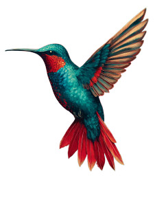 Glowing Hummingbird V2 Vinyl Car Decal Sticker – Waterproof & UV-Resistant  Glowing Hummingbird V2 Vinyl Car Decal Sticker – Waterproof & UV-Resistant