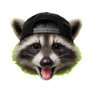 Raccoon Head Emoji V2 Vinyl Car Decal Sticker – Waterproof & UV-Resistant Raccoon Head Emoji V2 Vinyl Car Decal Sticker – Waterproof & UV-Resistant