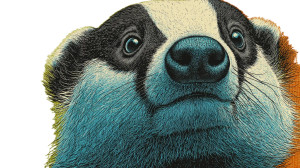 Furry Badger Closeup Vinyl Car Decal Sticker – Waterproof & UV-Resistant Furry Badger Closeup Vinyl Car Decal Sticker – Waterproof & UV-Resistant