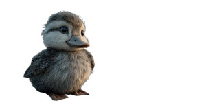 Sad Fluffy Duckling Vinyl Car Decal Sticker – Waterproof & UV-Resistant 