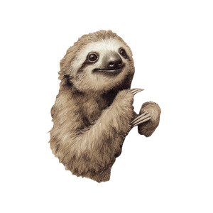 Cute Sloth Sketch Vinyl Car Decal Sticker – Waterproof & UV-Resistant Cute Sloth Sketch Vinyl Car Decal Sticker – Waterproof & UV-Resistant