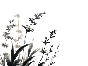 Botanical Ink Drawing Vinyl Car Decal Sticker – Waterproof & UV-Resistant 