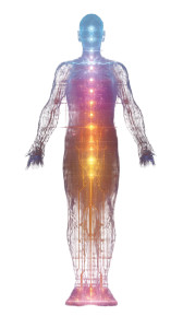 Futuristic Human Chakras Vinyl Car Decal Sticker – Waterproof & UV-Resistant 