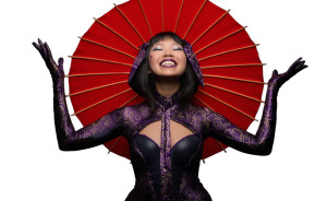 Geisha Ninja V5 Vinyl Car Decal Sticker – Waterproof & UV-Resistant 