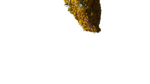 Berry Leaf Person Vinyl Car Decal Sticker – Waterproof & UV-Resistant 