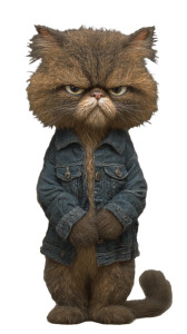 Grumpy Crunchy Cat Vinyl Car Decal Sticker – Waterproof & UV-Resistant 