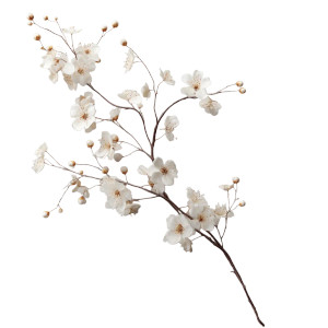 Delicate Blossom Branch Vinyl Car Decal Sticker – Waterproof & UV-Resistant Delicate Blossom Branch Vinyl Car Decal Sticker – Waterproof & UV-Resistant