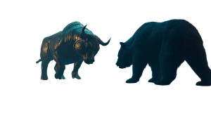 Golden Bull Vs Shadow Bear Vinyl Car Decal Sticker – Waterproof & UV-Resistant 