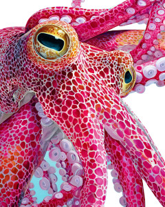 Giant Squid Art V2 Vinyl Car Decal Sticker – Waterproof & UV-Resistant 
