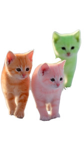Colorful Kittens In Snow Vinyl Car Decal Sticker – Waterproof & UV-Resistant 