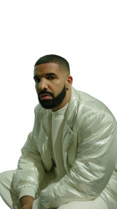 Drake In Shock Vinyl Car Decal Sticker – Waterproof & UV-Resistant 