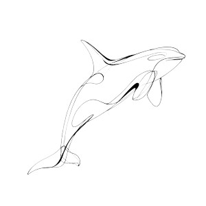 Minimalist Orca Drawing Vinyl Car Decal Sticker – Waterproof & UV-Resistant  Minimalist Orca Drawing Vinyl Car Decal Sticker – Waterproof & UV-Resistant