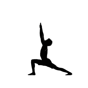 Yoga Pose Silhouette Vinyl Car Decal Sticker – Waterproof & UV-Resistant Yoga Pose Silhouette Vinyl Car Decal Sticker – Waterproof & UV-Resistant