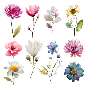 Watercolor Flowers Vinyl Car Decal Sticker – Waterproof & UV-Resistant Watercolor Flowers Vinyl Car Decal Sticker – Waterproof & UV-Resistant