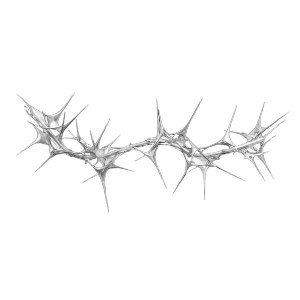 Chrome Thorns Vinyl Car Decal Sticker – Waterproof & UV-Resistant 