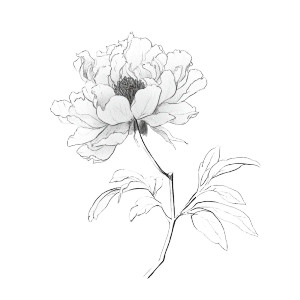 Chinese Peony Drawing Vinyl Car Decal Sticker – Waterproof & UV-Resistant Chinese Peony Drawing Vinyl Car Decal Sticker – Waterproof & UV-Resistant
