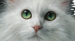 White Cat Portrait V2 Vinyl Car Decal Sticker – Waterproof & UV-Resistant 