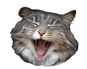 Happy Yawning Cat Vinyl Car Decal Sticker – Waterproof & UV-Resistant 