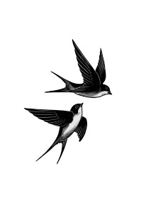 Elegant Swallow Tattoo Vinyl Car Decal Sticker – Waterproof & UV-Resistant Elegant Swallow Tattoo Vinyl Car Decal Sticker – Waterproof & UV-Resistant