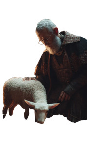 Offering A Lamb Vinyl Car Decal Sticker – Waterproof & UV-Resistant 