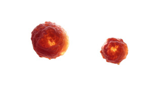 Cancer Cell Microscopy Vinyl Car Decal Sticker – Waterproof & UV-Resistant 