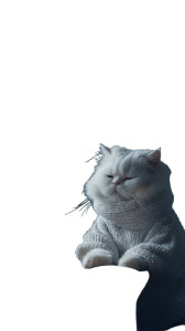 Typing Fluffy Cat Vinyl Car Decal Sticker – Waterproof & UV-Resistant 