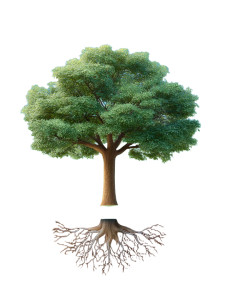 Large Growing Tree Vinyl Car Decal Sticker – Waterproof & UV-Resistant 