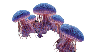 Glowing Jellyfish V7 Vinyl Car Decal Sticker – Waterproof & UV-Resistant 