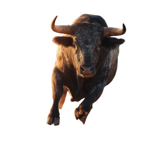 Charging Muscular Bull Vinyl Car Decal Sticker – Waterproof & UV-Resistant 