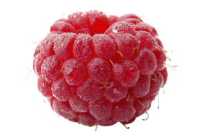 Raspberry Vinyl Car Decal Sticker – Waterproof & UV-Resistant Raspberry Vinyl Car Decal Sticker – Waterproof & UV-Resistant