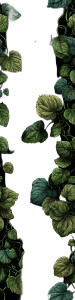 Green Vine Leaves Vinyl Car Decal Sticker – Waterproof & UV-Resistant 