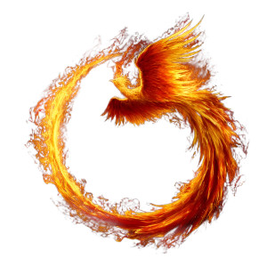 Phoenix Flame Circle Vinyl Car Decal Sticker – Waterproof & UV-Resistant  Phoenix Flame Circle Vinyl Car Decal Sticker – Waterproof & UV-Resistant