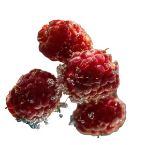Floating Raspberries Vinyl Car Decal Sticker – Waterproof & UV-Resistant Floating Raspberries Vinyl Car Decal Sticker – Waterproof & UV-Resistant