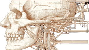 Biomechanical Cyborg Ape Vinyl Car Decal Sticker – Waterproof & UV-Resistant 